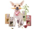 Snack for dogs by Cooka's Cookies
