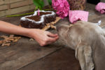 Super delicious bone-shaped cake - A healthy choice for meat-lovers