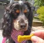 Maggie loves Curcuma