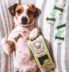 Gucci adores Spirulina